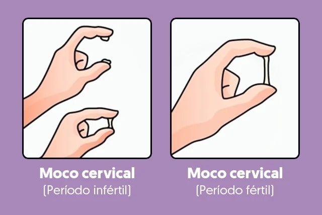 dias fertiles de una mujer